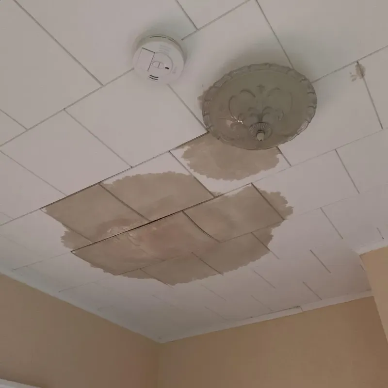 Ceiling Water Damage Repair in Columbia County, NY
