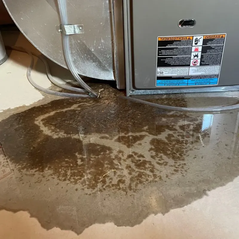 Pipe Burst and Leak Restoration in Columbia County, NY